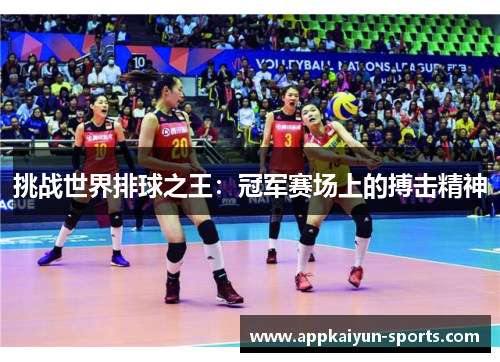挑战世界排球之王：冠军赛场上的搏击精神