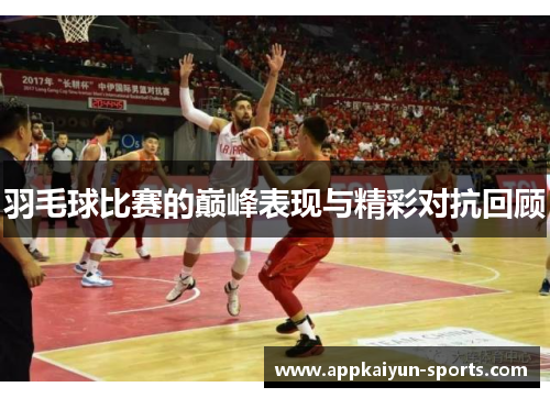 羽毛球比赛的巅峰表现与精彩对抗回顾